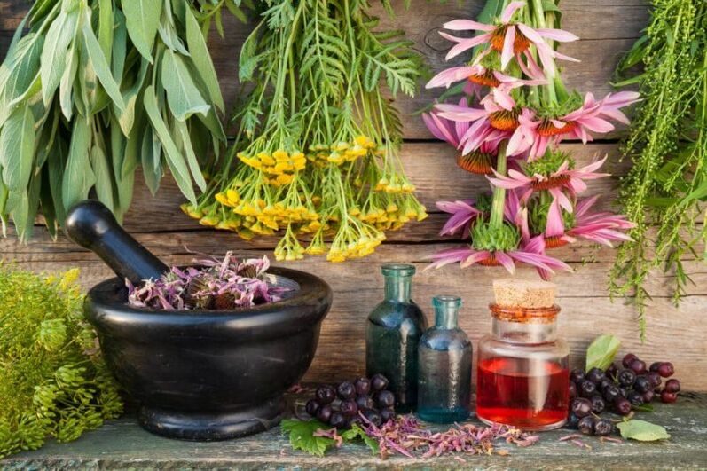 herbal untuk prostatitis
